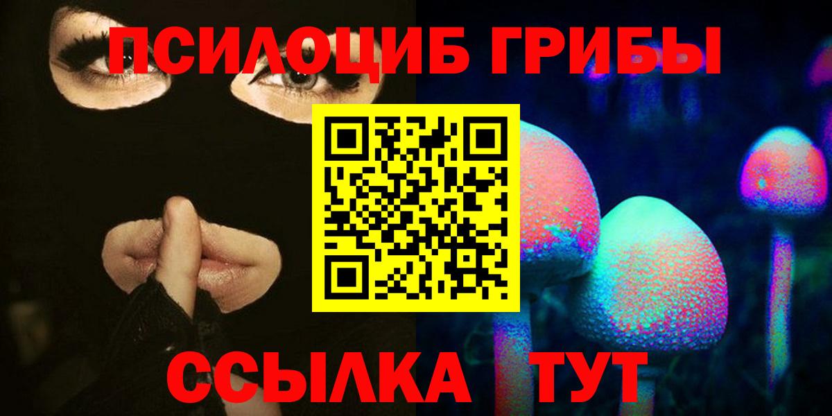 Галлюциногенные грибы Psilocybine cubensis Ангарск